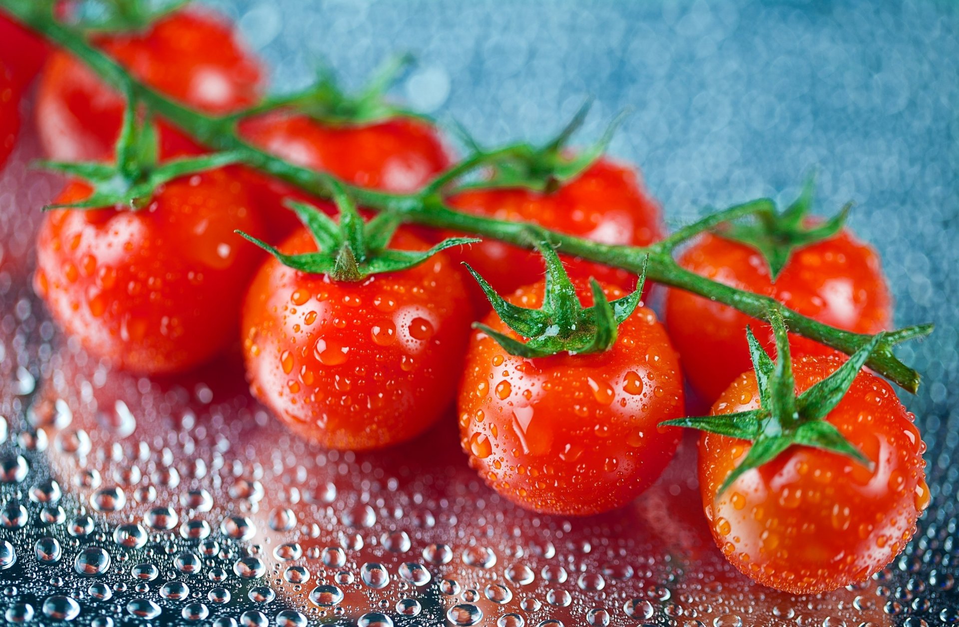 tomaten tomaten rot tropfen