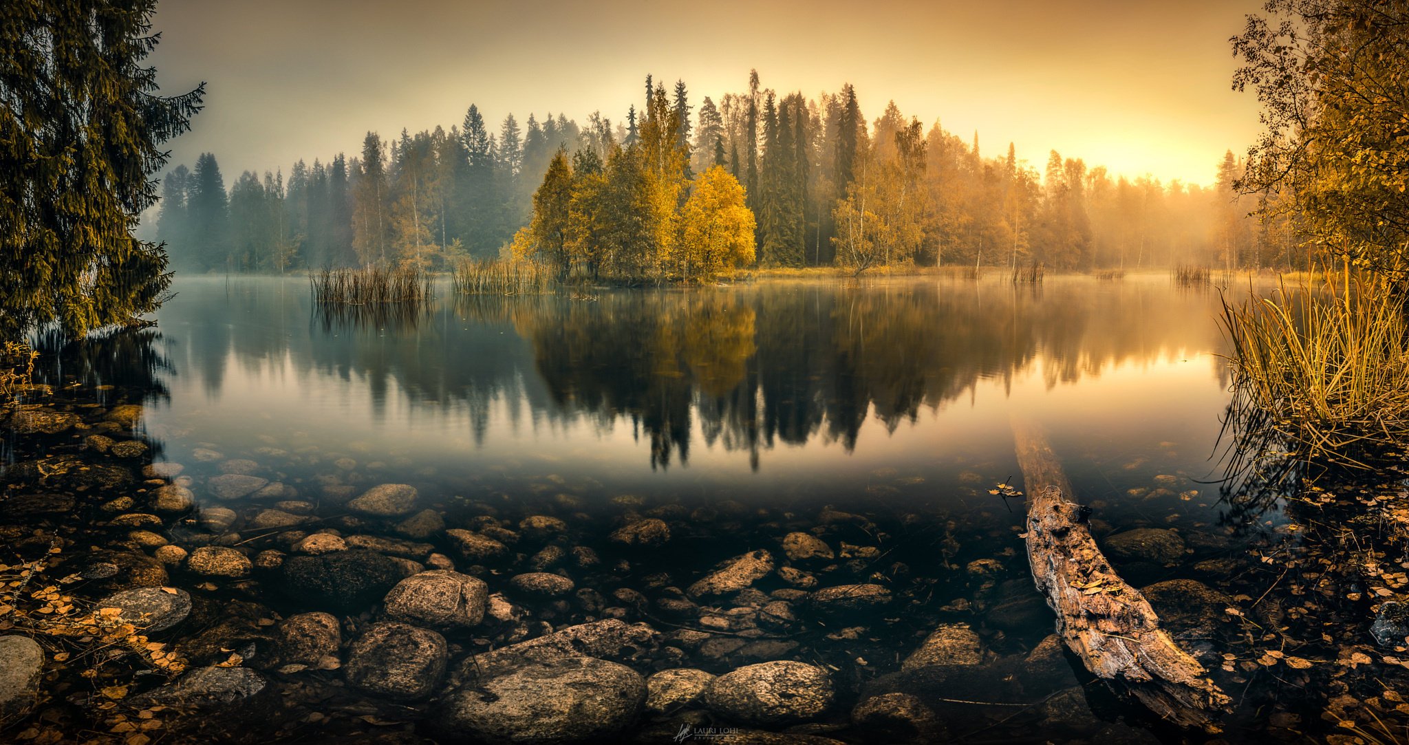 naturaleza estanque lago otoño hermoso niebla bosque