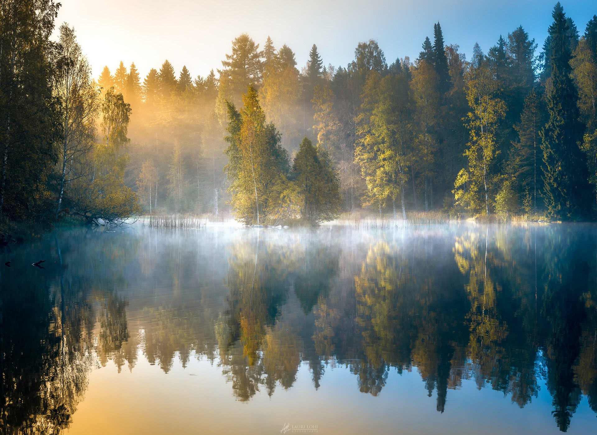 nature automne finlande forêt étang lac matin lever du soleil brouillard