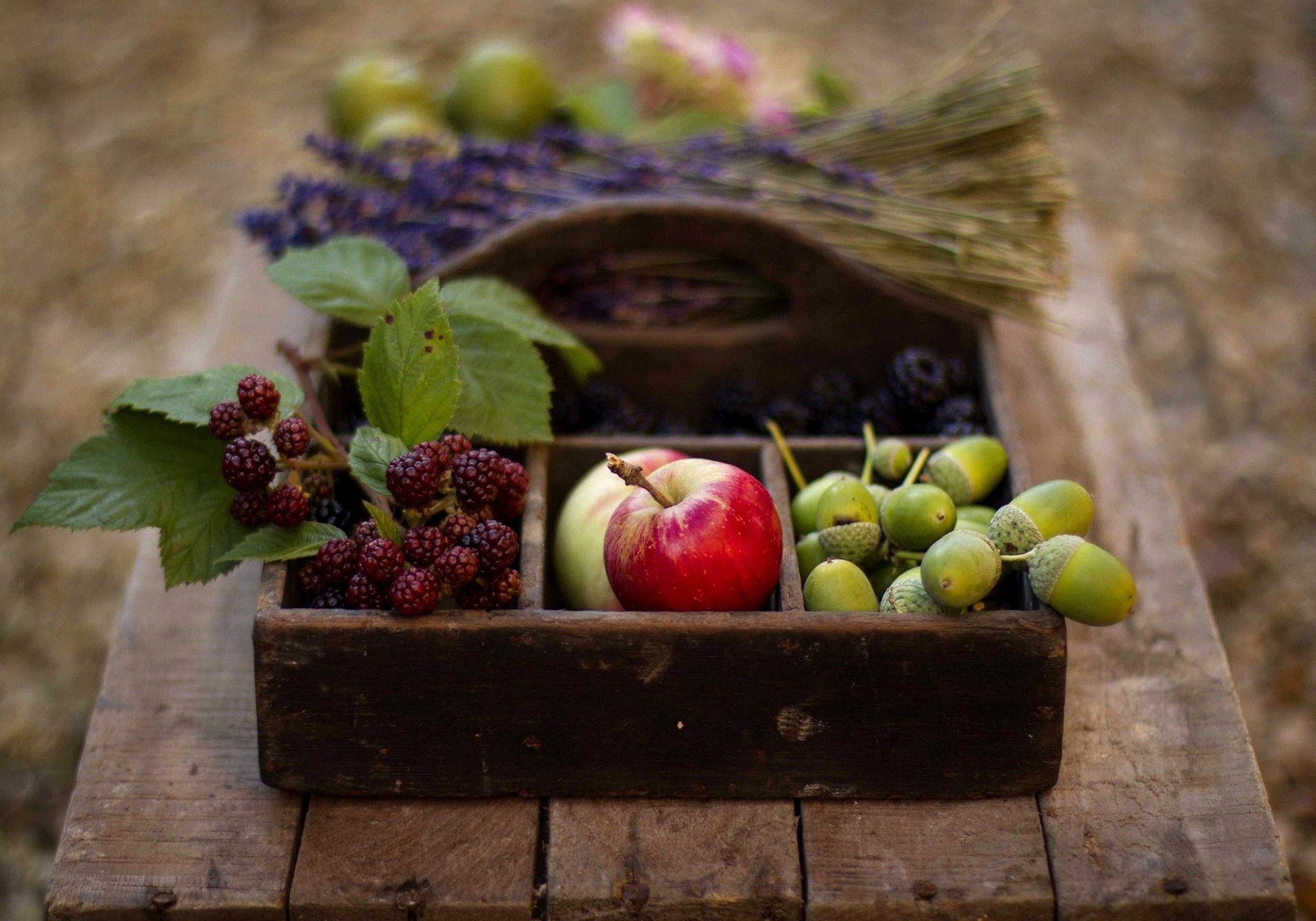 mele more ghiande frutta bacche lavanda cesto tavolo autunno