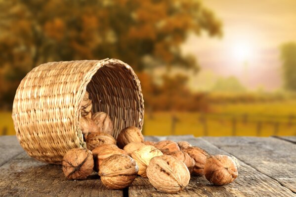 Cestino con noci sullo sfondo del tramonto autunnale