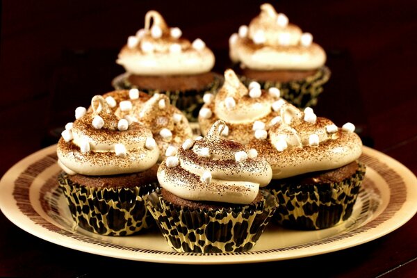 Muffins au chocolat sur une assiette avec de la poudre