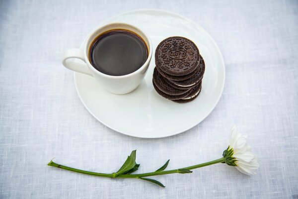 Tazza di caffè, biscotti fiore bianco