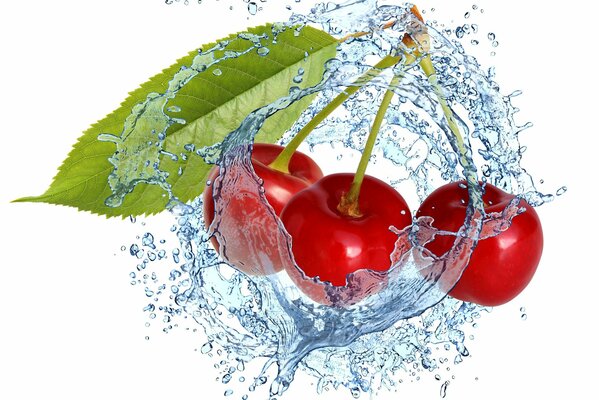 Cerezas frescas en gotas de agua