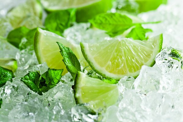 Lime with mint leaves lie on the ice