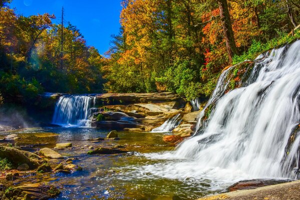 Cascadas de otoño en el bosque amarillo