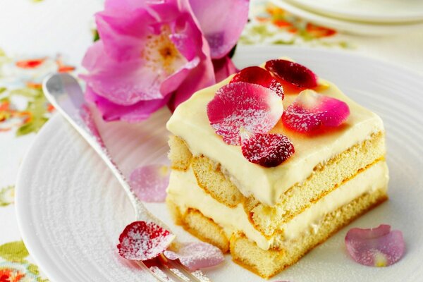 Gâteau, dessert, tranche de gâteau