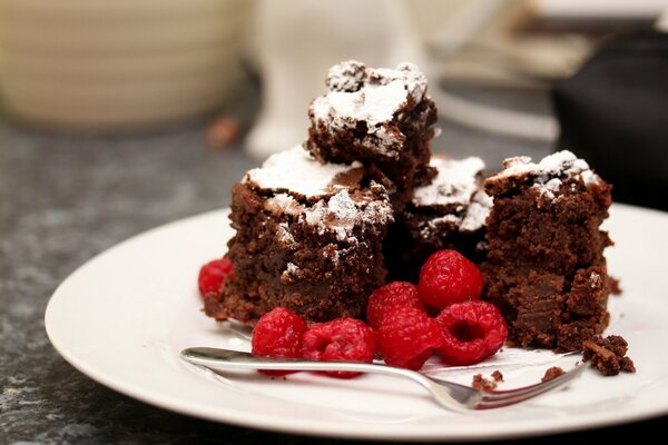 Dessert de gâteau au chocolat saupoudré de poudre