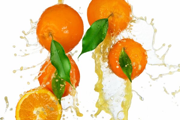 Juicy splashes of bright oranges