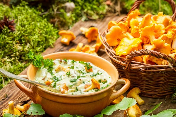 Belle casserole avec des chanterelles