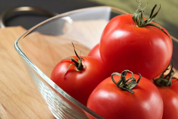 Gericht mit frischen, reifen Tomaten