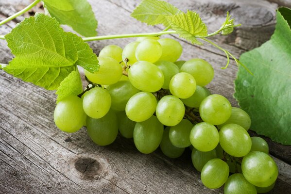 A bunch of green grapes on a photophone