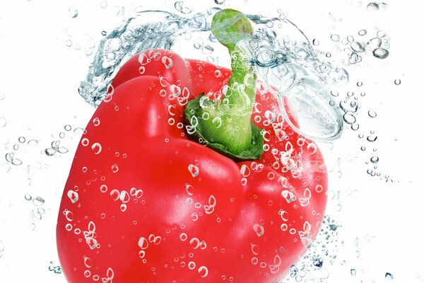 Red juicy Bulgarian pepper in drops of water