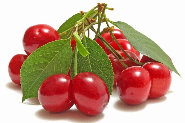 Photo de baies rouges, cerises