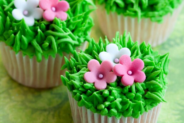 Muffin alla crema per dessert a forma di fiori ed erbe