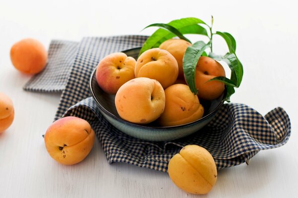 Bol d abricots sur une serviette à Carreaux