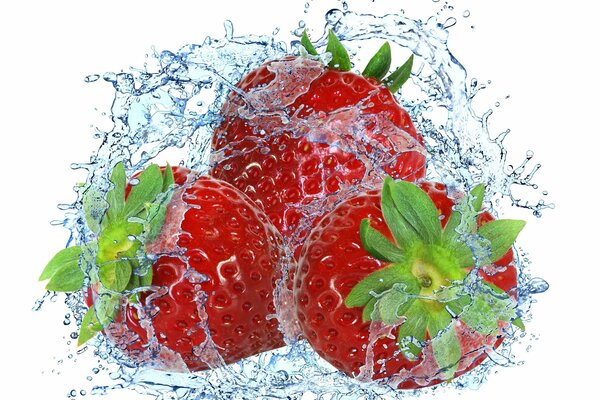 Reife Erdbeeren in Spritzwasser