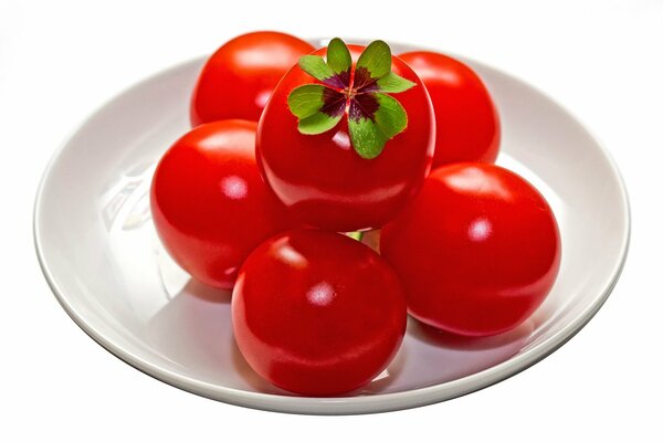 Seis tomates en un plato blanco