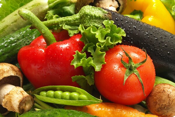 Verduras jugosas y champiñones con gotas de agua