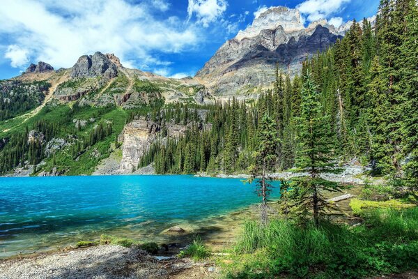 Mountains in the National Park of Canada