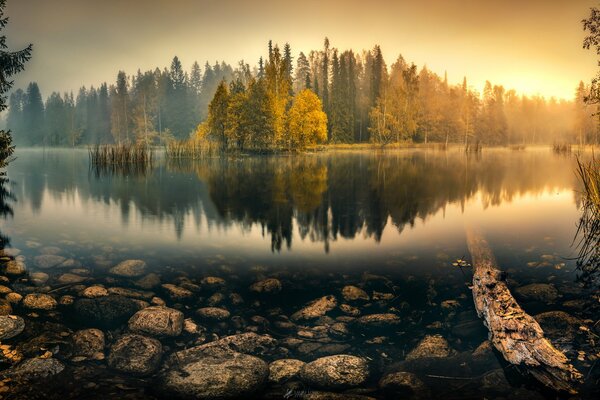 Sonnenuntergang auf See und Wald Hintergrund