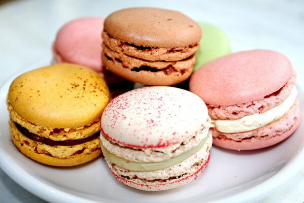 Colorful cakes. Colorful macaroons. Sweet pleasure