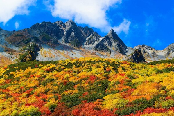 Autunno dorato in montagna su uno sfondo di cielo blu