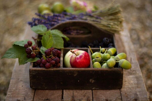 Panier de récolte de fruits d automne