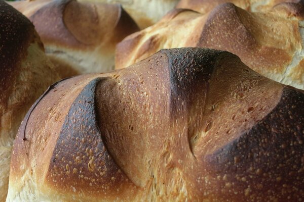 Frisch gebackenes Brot in Makroaufnahmen