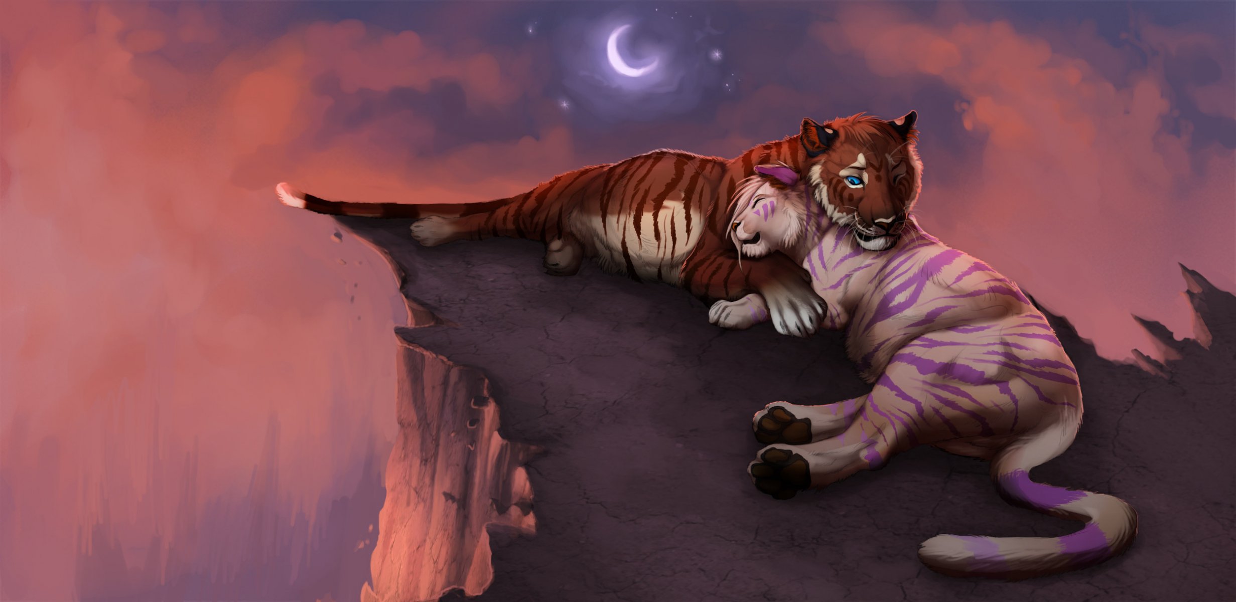 art cats tiger love romance sky star moon