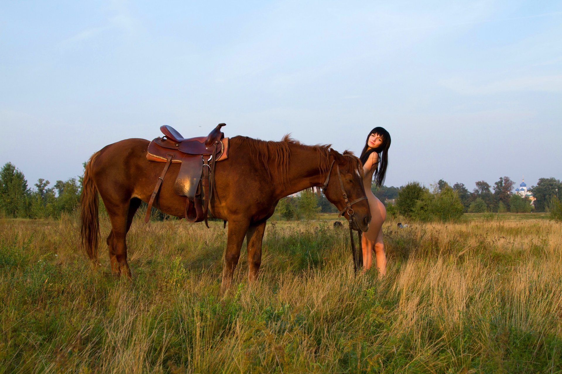 cheval rouquine selle harnais champ herbe