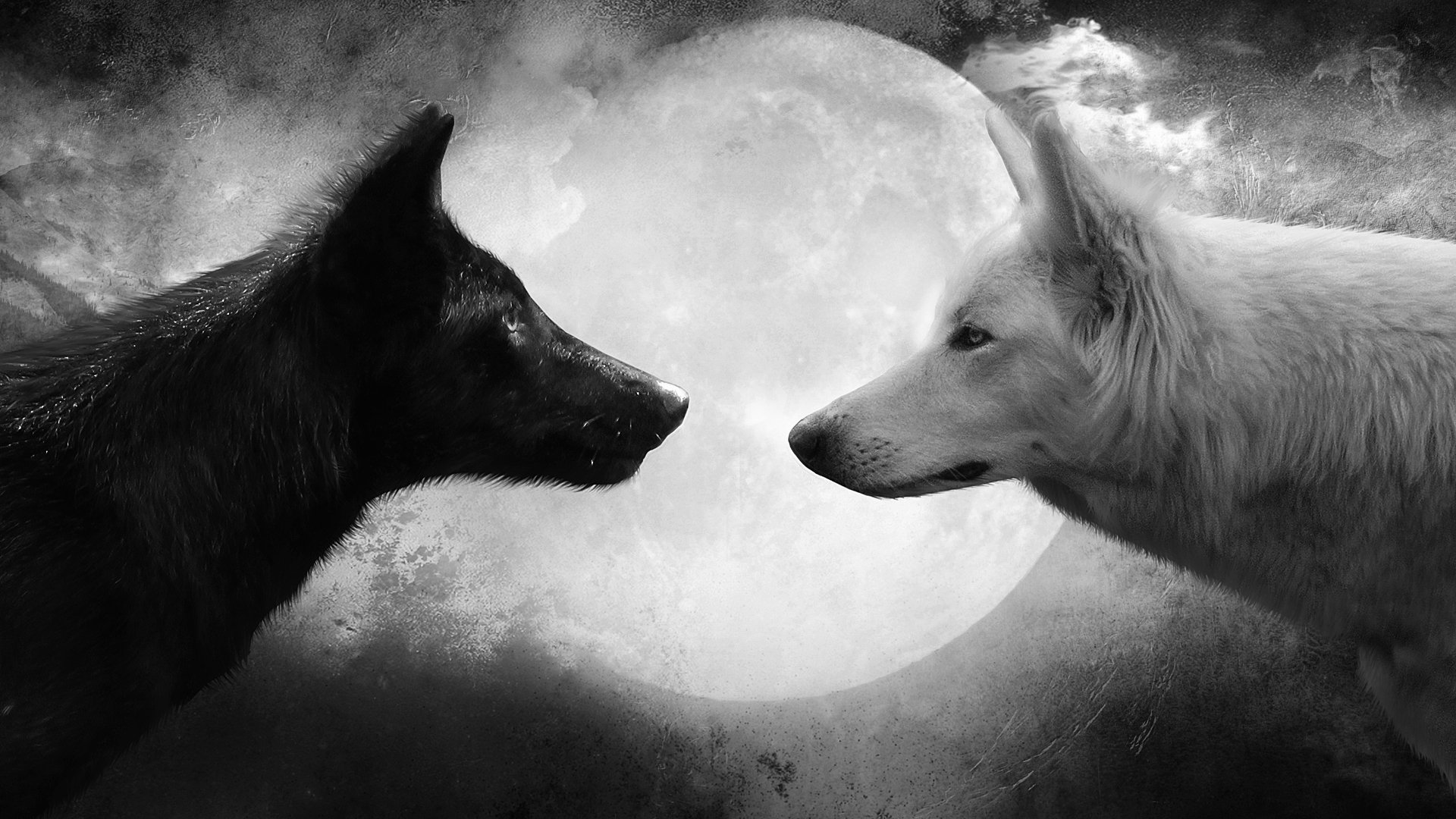 wolf moon black white