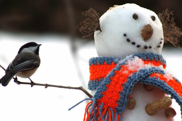 Meise auf einem Ast in der Nähe eines Schneemanns