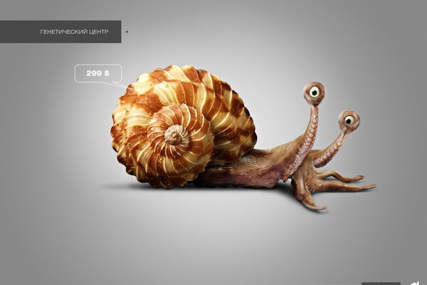 Two-eyed snail web design at a price of $299