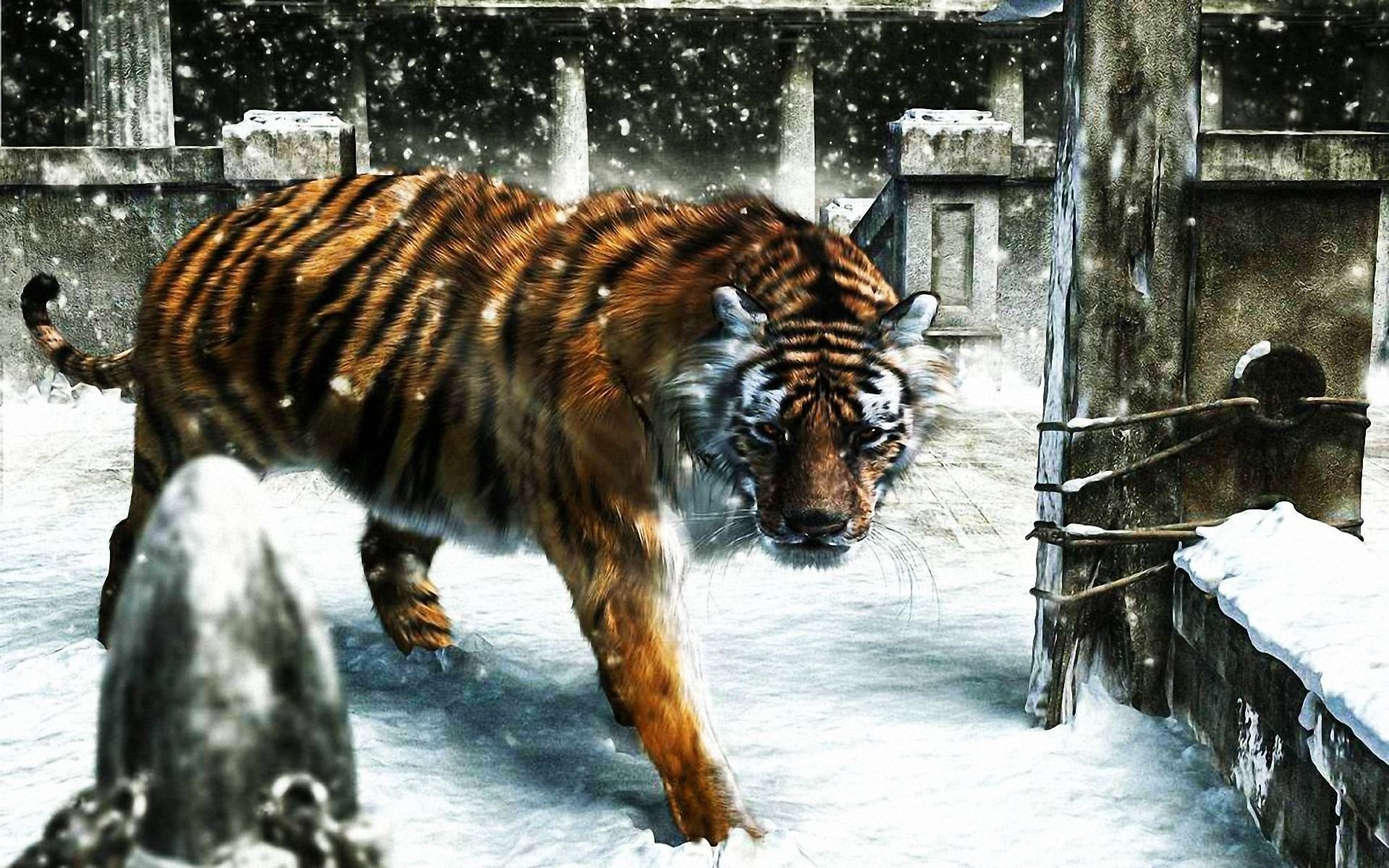 tiger kommt schnee winter rendering