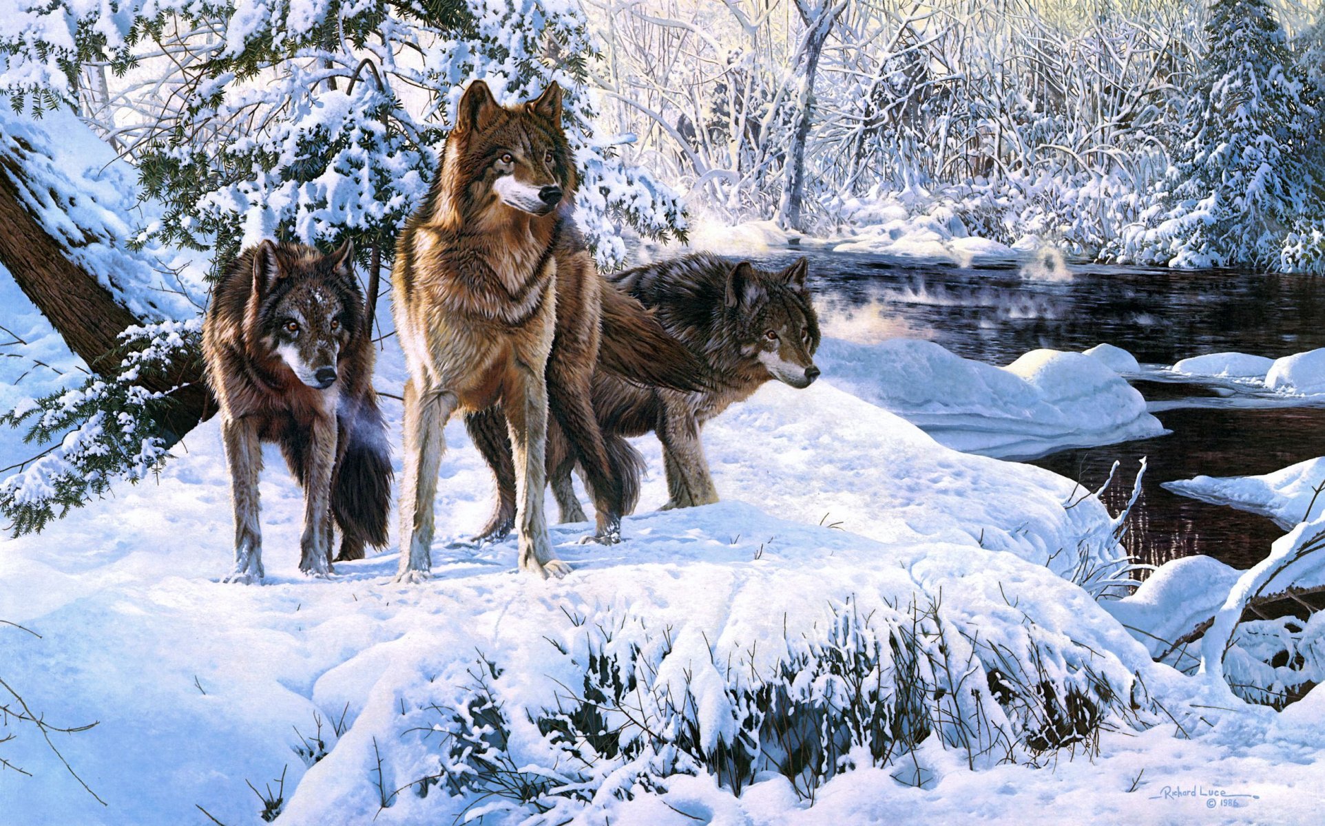 richard luce loups hiver neige rivière forêt art