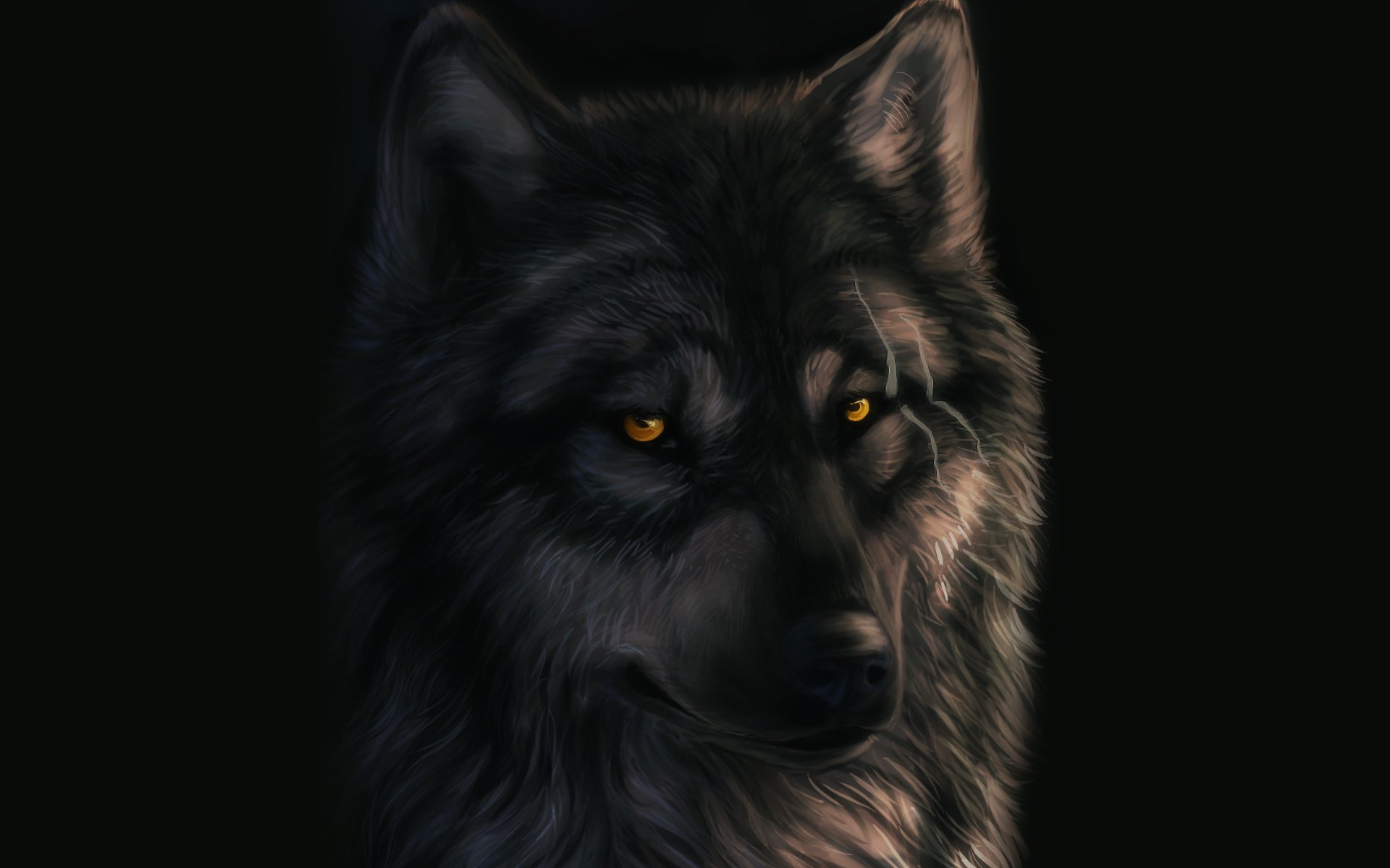 art dark_sheyn loup cicatrices fond noir