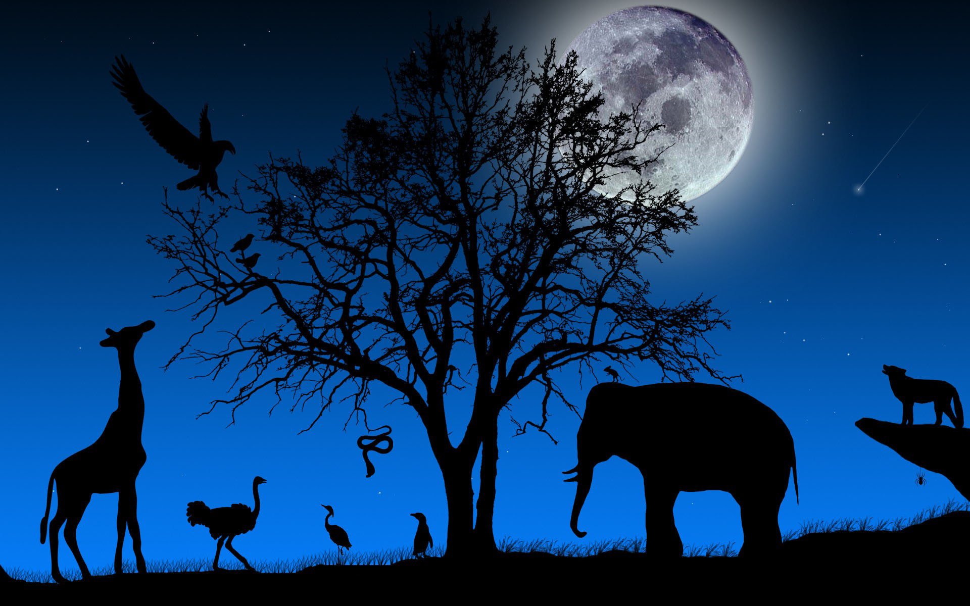 paisaje árbol ramas corona animales elefante jirafa avestruz lobo aves sombra siluetas cielo noche luna meteorito serpiente araña variedad formas vida