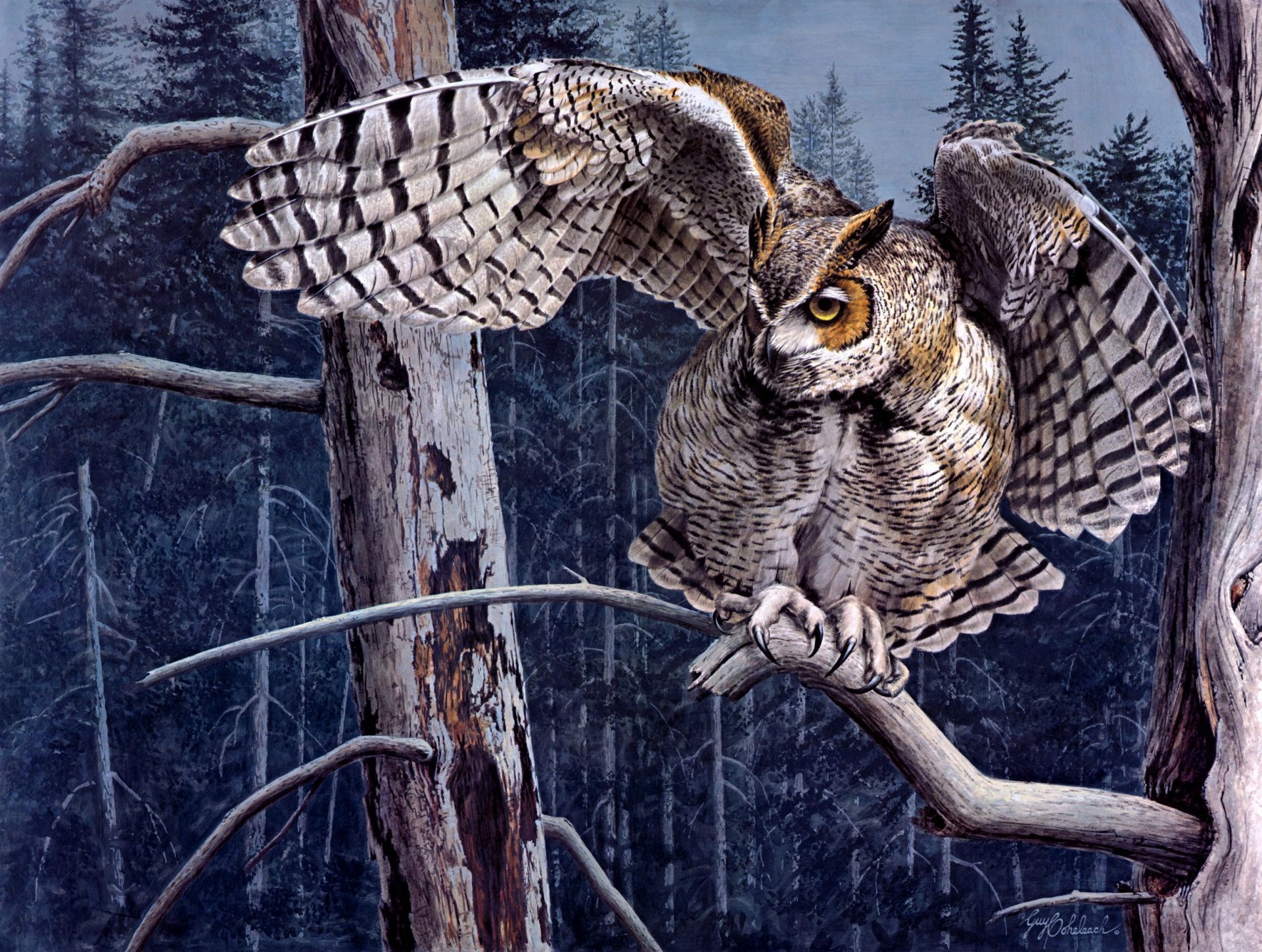 guy coheleach owl owl forest tree branch art