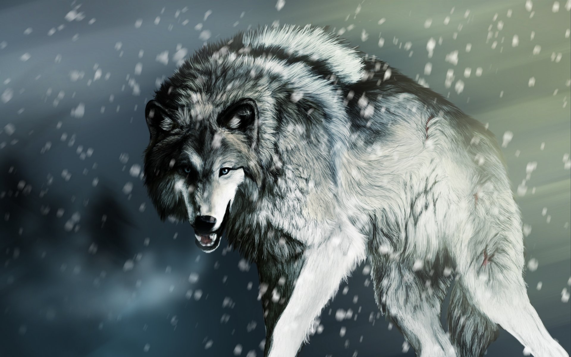 wolf schnee rendering