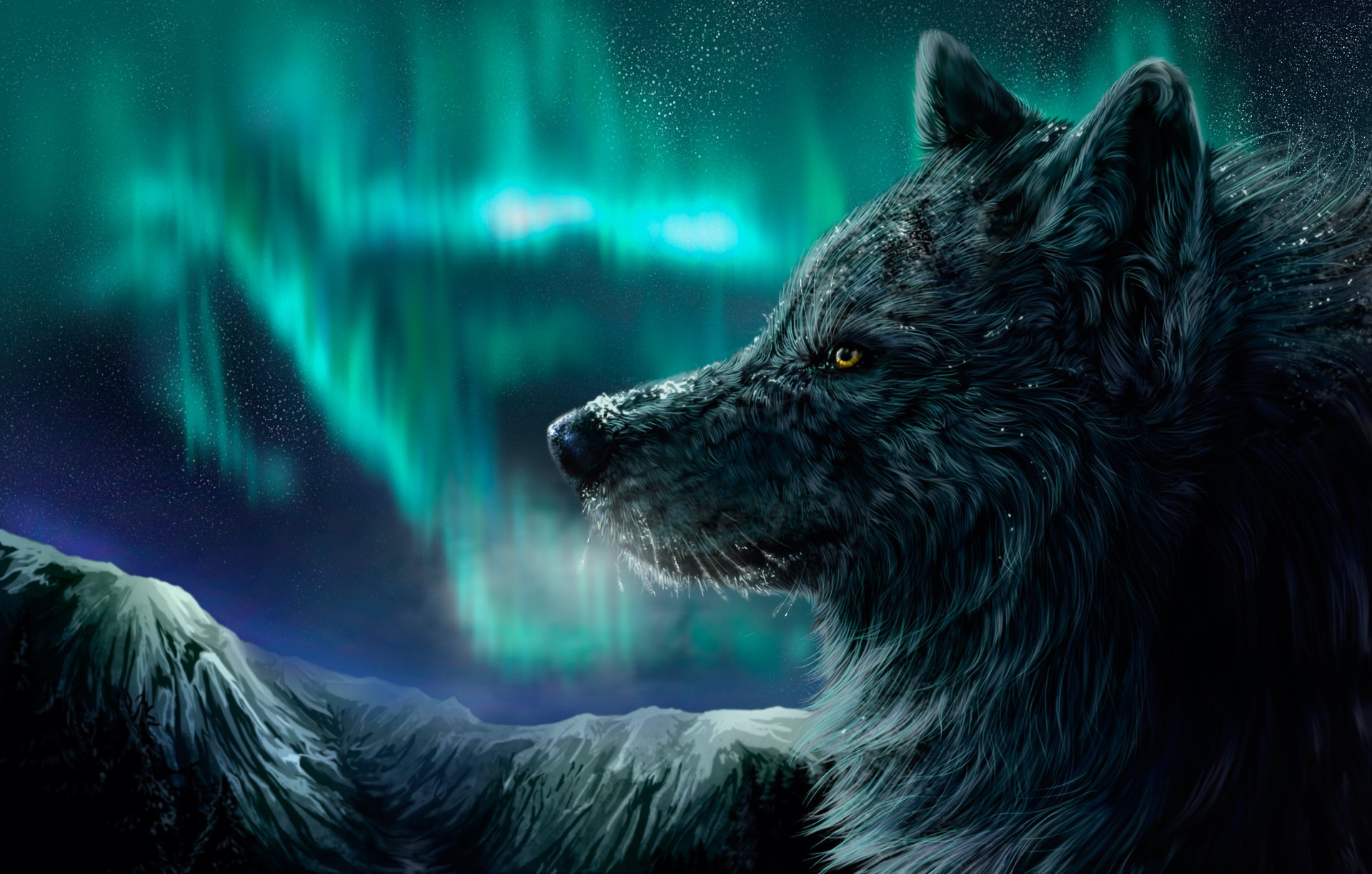loup aurores boréales nuit montagnes