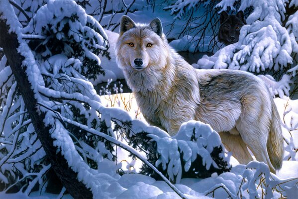 A lone wolf in a snowy forest