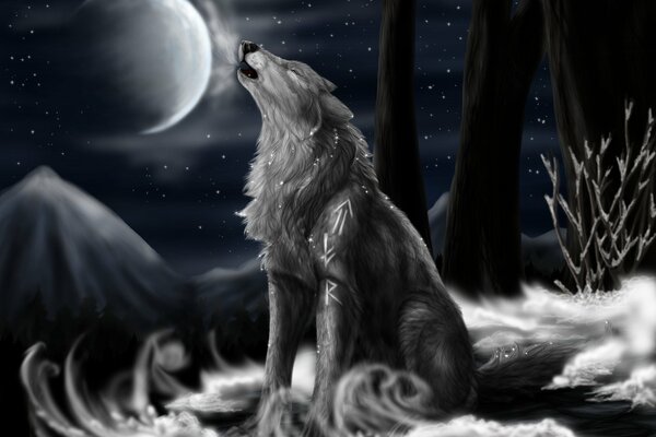 Grauer Wolf heult nachts zum Mond