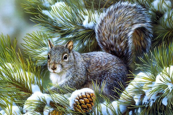 Squirrel with a fluffy tail on a fir branch