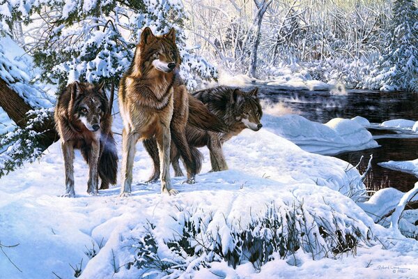 Loups dans la neige près de la rivière