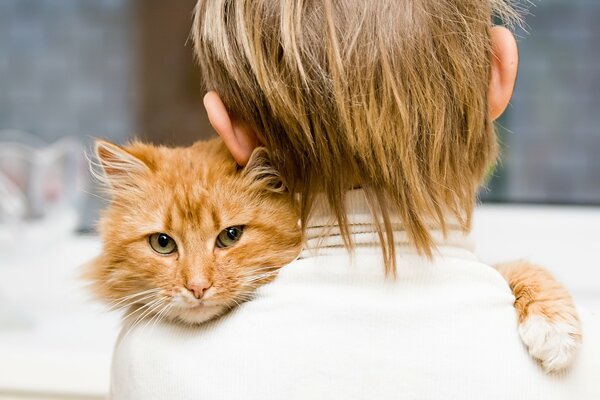 Bon garçon et son chat roux