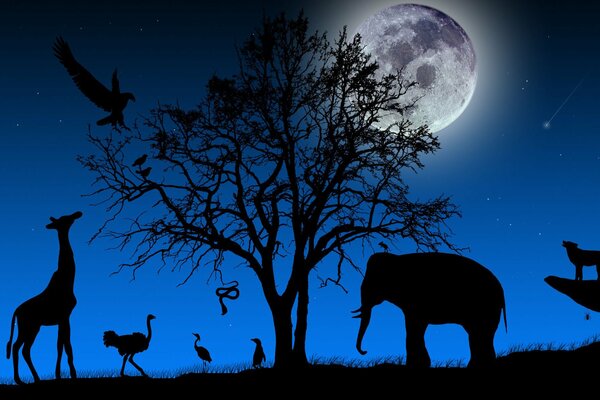 Paysage africain de nuit avec différents animaux