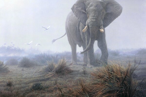 An elephant with huge tusks