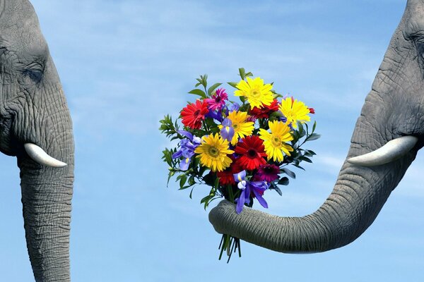 An elephant gives flowers to an elephant