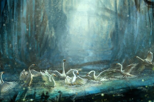 Bathing swans with splashes in the forest